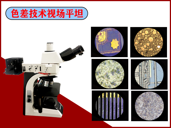 观察金相结构 显微镜